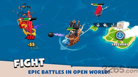 海盗进化史游戏下载