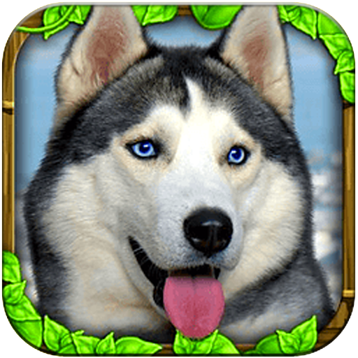 流浪狗模拟器破解版中文版