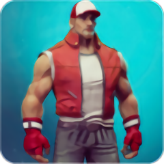 街头格斗家游戏